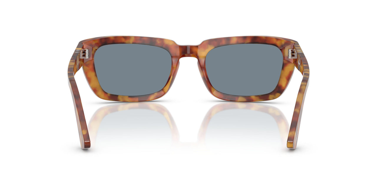 106/56 - Tortoise - Light Blue