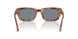 106/56 - Tortoise - Light Blue