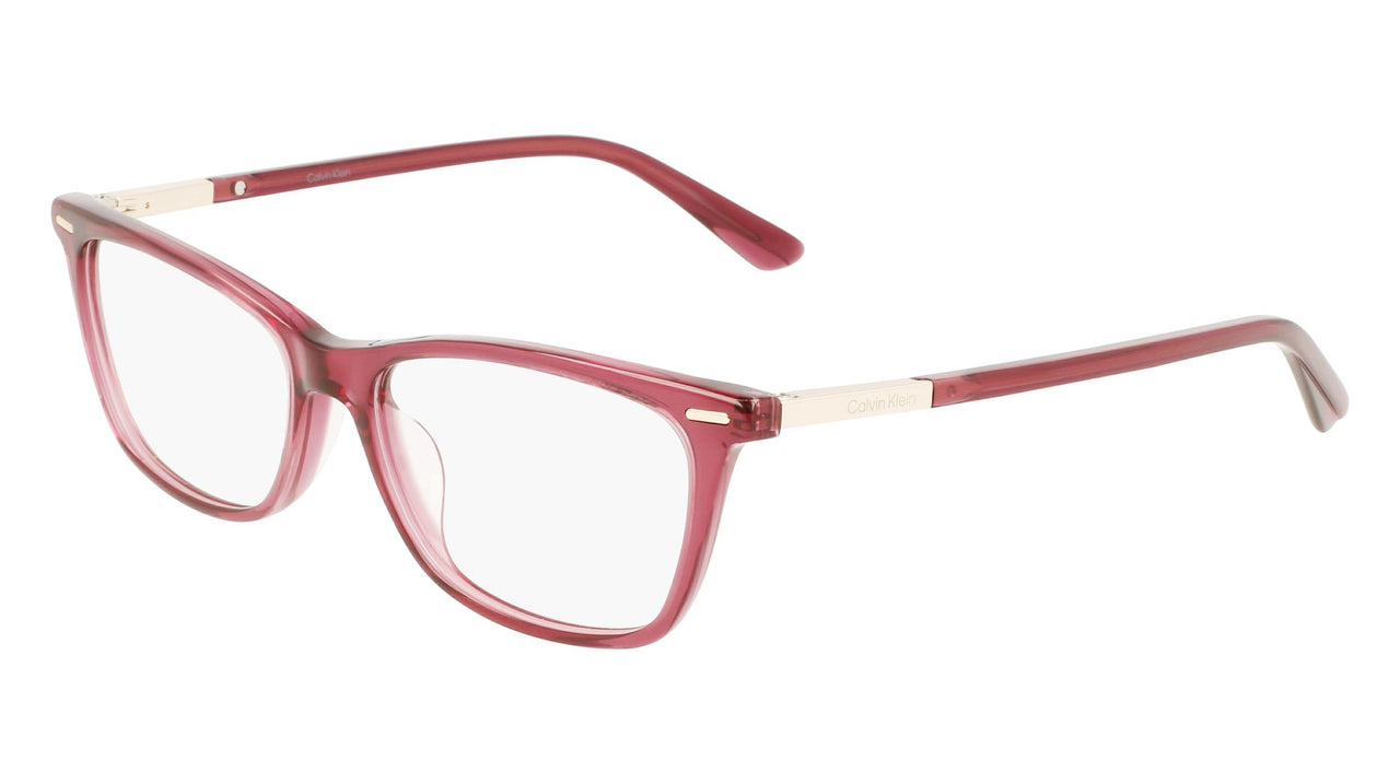 Calvin Klein CK22506 Eyeglasses
