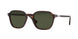 24/31 - Havana - Green