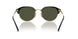 601/31 - Black - Green