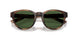 607071 - Tortoise - Bottle Green
