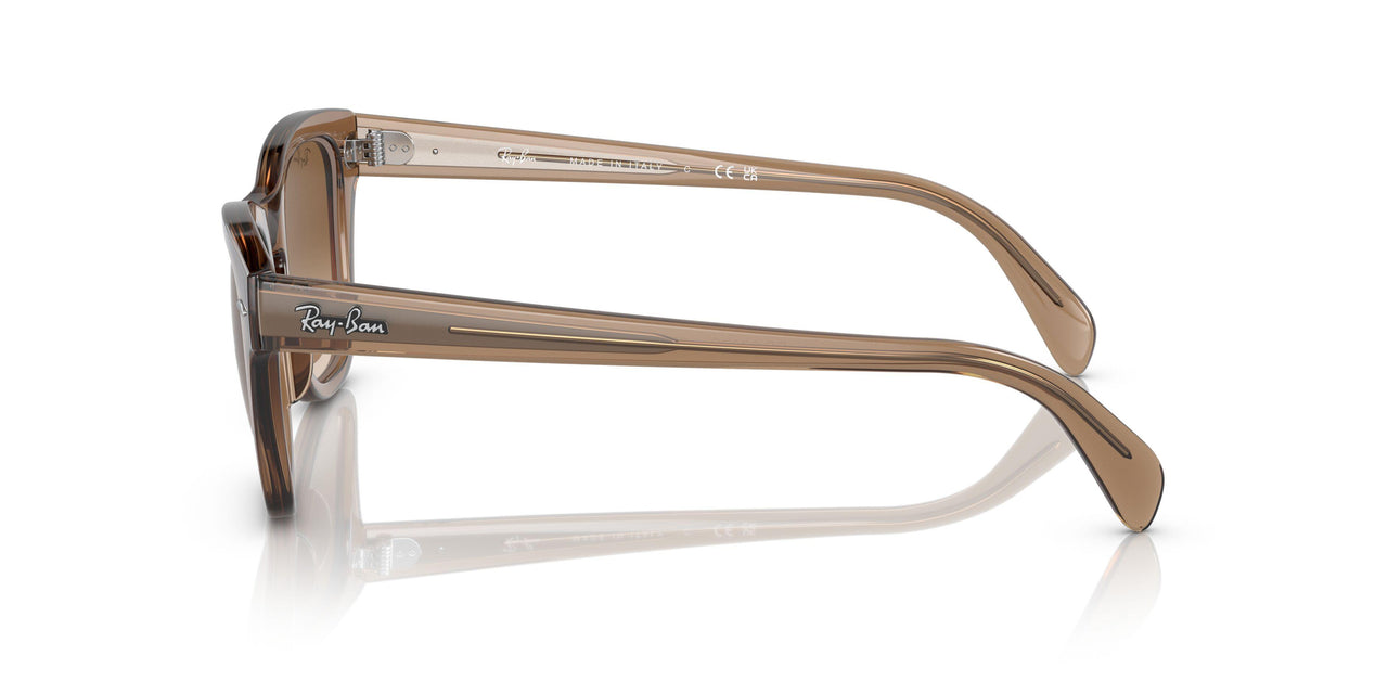 664051 - Light Brown - Clear Gradient Brown