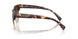 300613 - Tortoise - Smoke Gradient