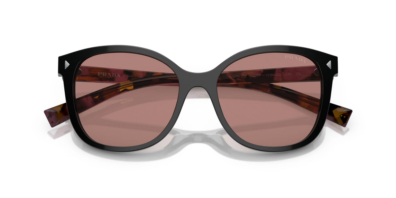 12O10D - Brown - Light Brown