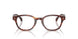 3034 - Tortoise