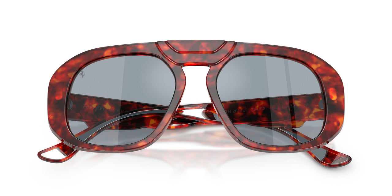 734/S2 - Tortoise - Polar Blue