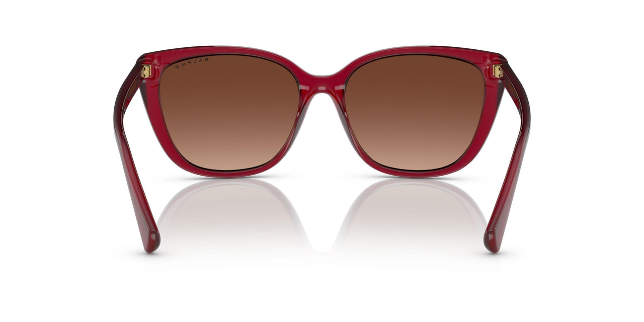 5800T5 - Bordeaux - Polar Light Brown Gradient