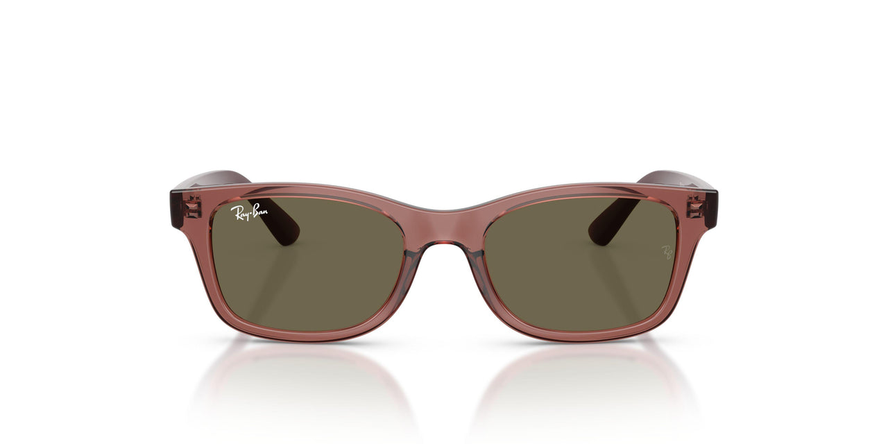 7197/3 - Violet - Brown