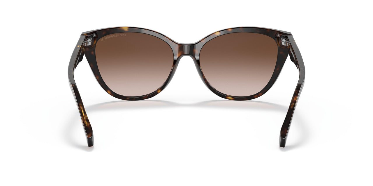 587913 - Havana - Gradient Brown