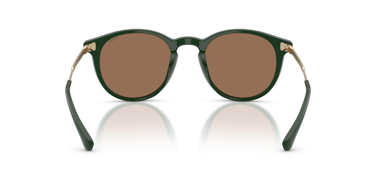614073 - Green - Dark Brown