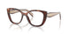 07R1O1 - Brown