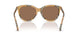416373 - Brown - Dark Brown
