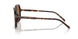 502/73 - Tortoise - Dark Brown
