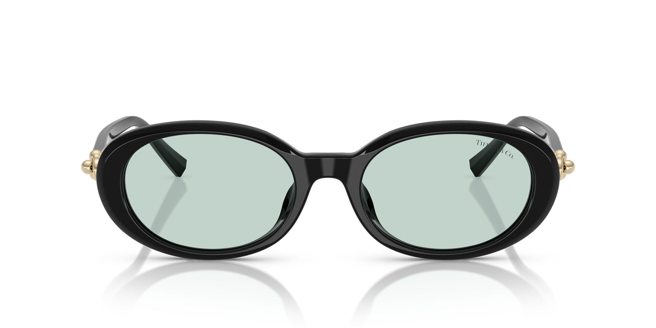 8001D9 - Black - Light Azure