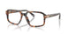 3904 - Tortoise