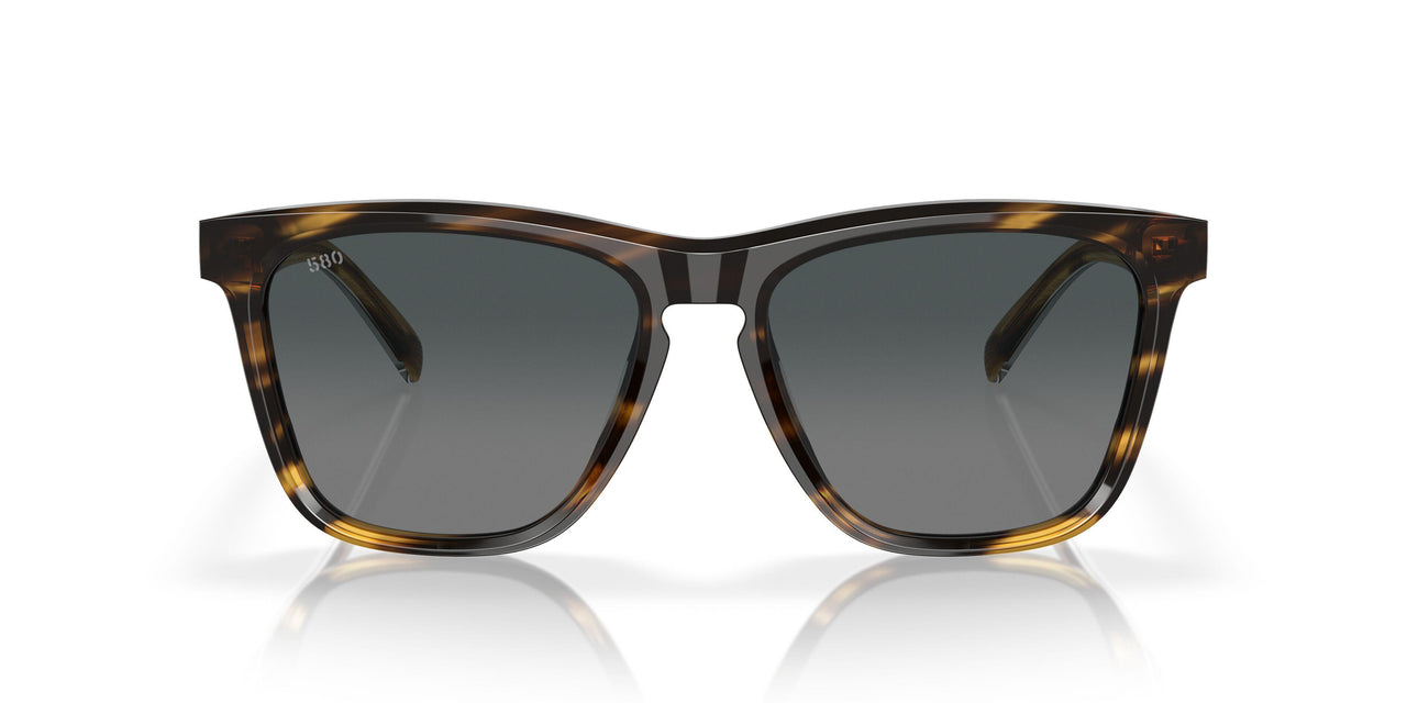 201402 - Tortoise - Gray Gradient