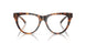3904 - Tortoise