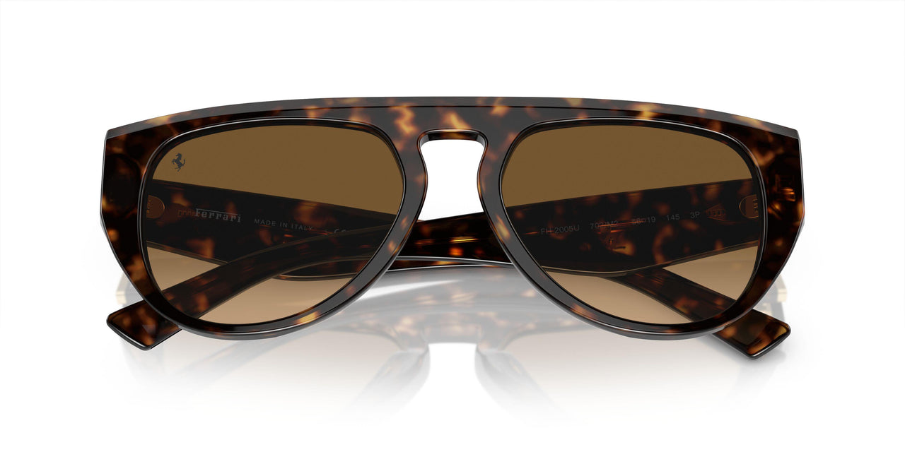 702/M2 - Tortoise - Polarized Brown Gradient