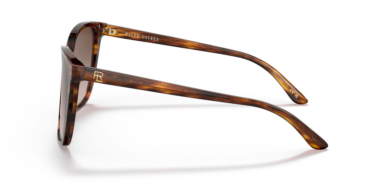 500713 - Havana - Gradient Brown