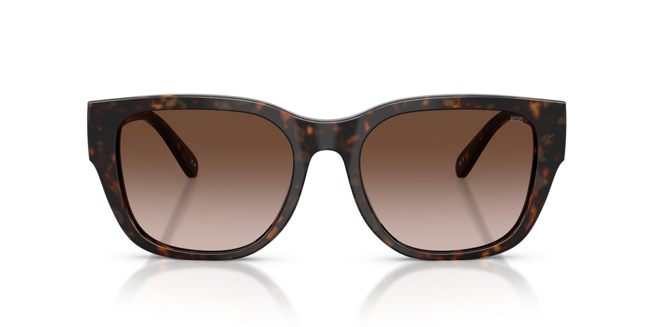 202213 - Tortoise - Brown Gradient