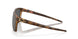 910018 - Brown - Prizm Black Polarized