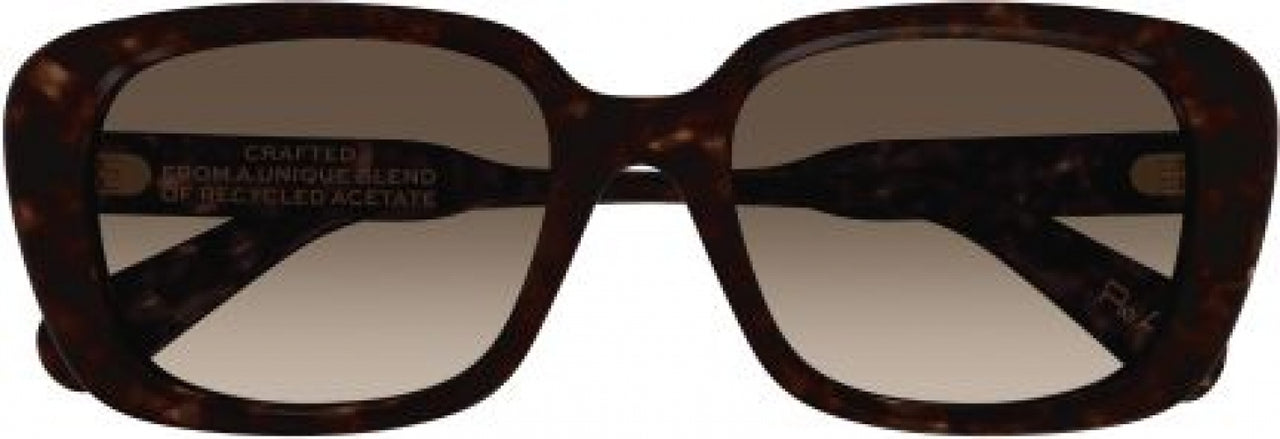 002 - Havana - Brown