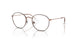 4087 - Brown - Clear