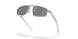603105 - Silver - Prizm Black Polarized