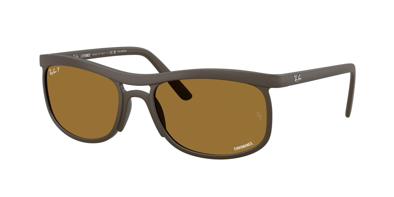 Ray-Ban 4452CH Sunglasses