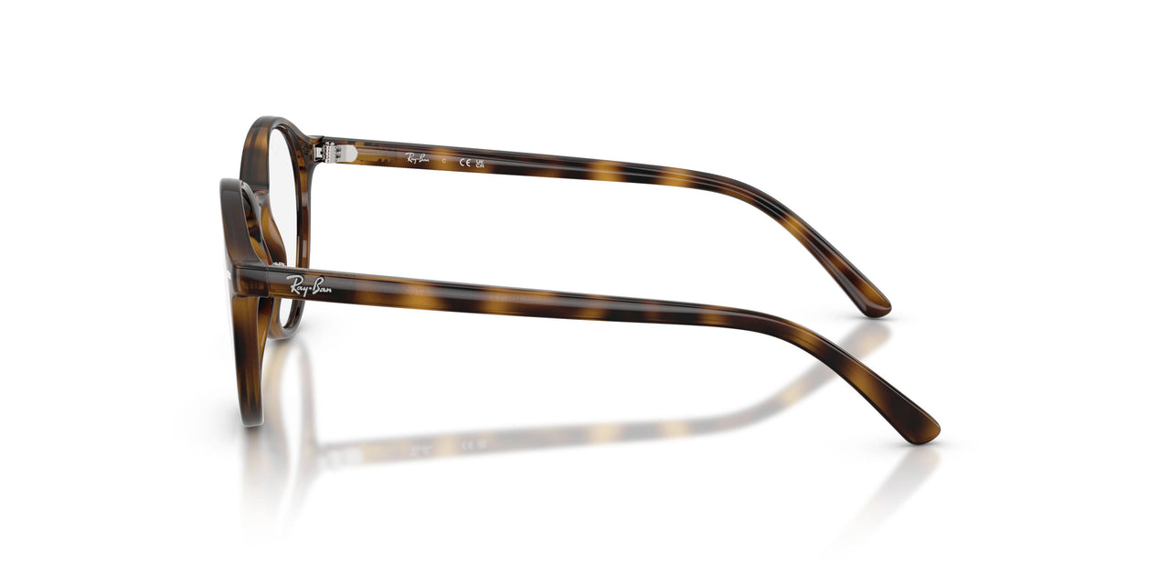 3685 - Tortoise - Clear