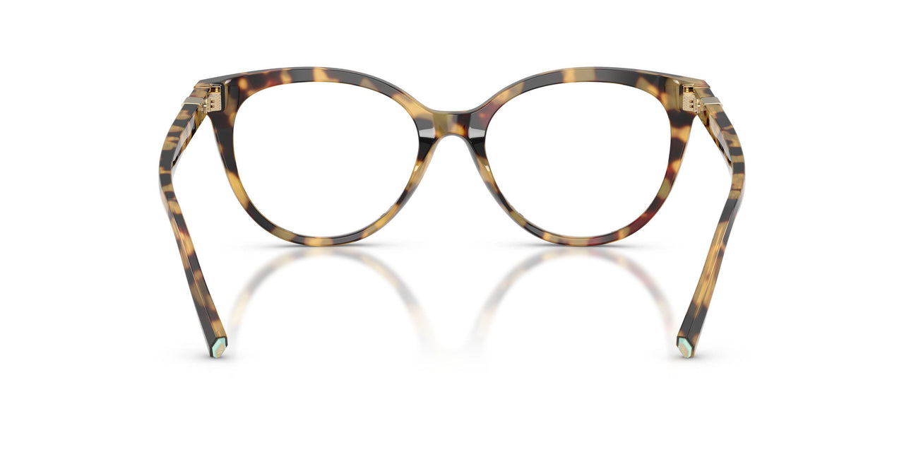 8064 - Tortoise