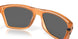 910019 - Brown - Prizm Black Polar