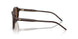 625573 - Brown - Brown