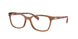 8179 - Brown
