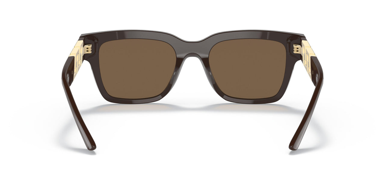 535673 - Brown - Dark Brown