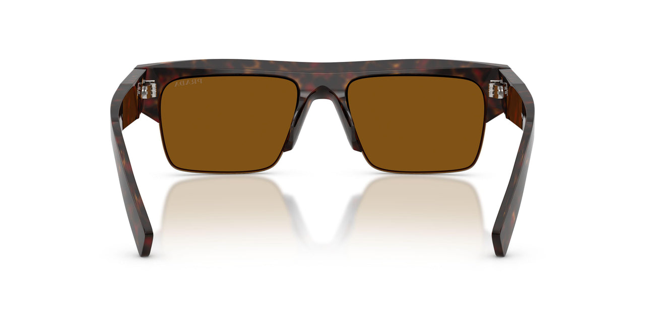 17N20V - Tortoise - Dark Bronze