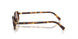 14L20I - Tortoise - Light Purple Brown