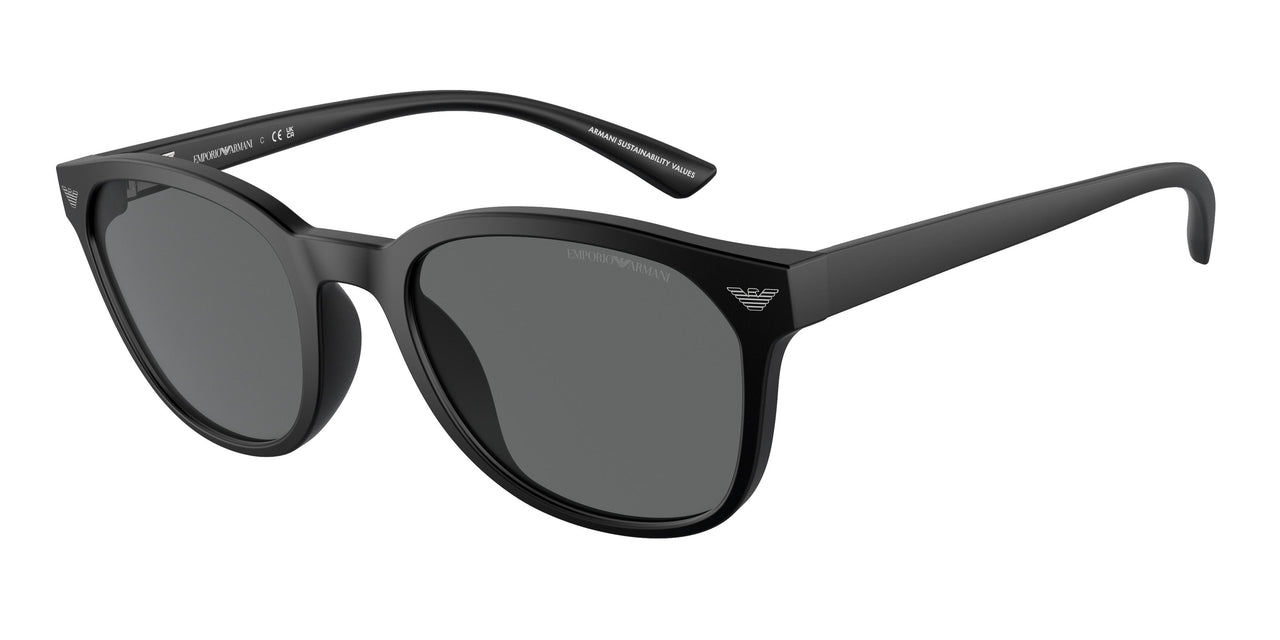 Emporio Armani 4225U Sunglasses