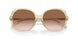 573613 - Brown - Brown Gradient