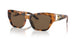 530373 - Havana - Dark Brown