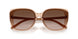 318113 - Brown - Gradient Dark Brown