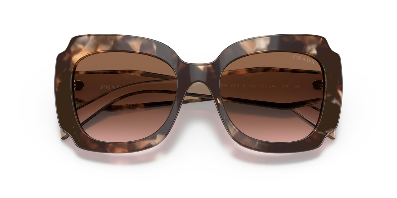 01R0A6 - Havana - Brown Gradient