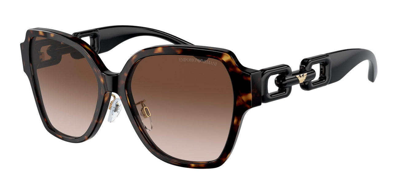 502613 - Tortoise - Gradient Brown