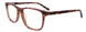 10 - Light Brown & Purple
