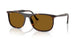 902/33 - Tortoise - Brown