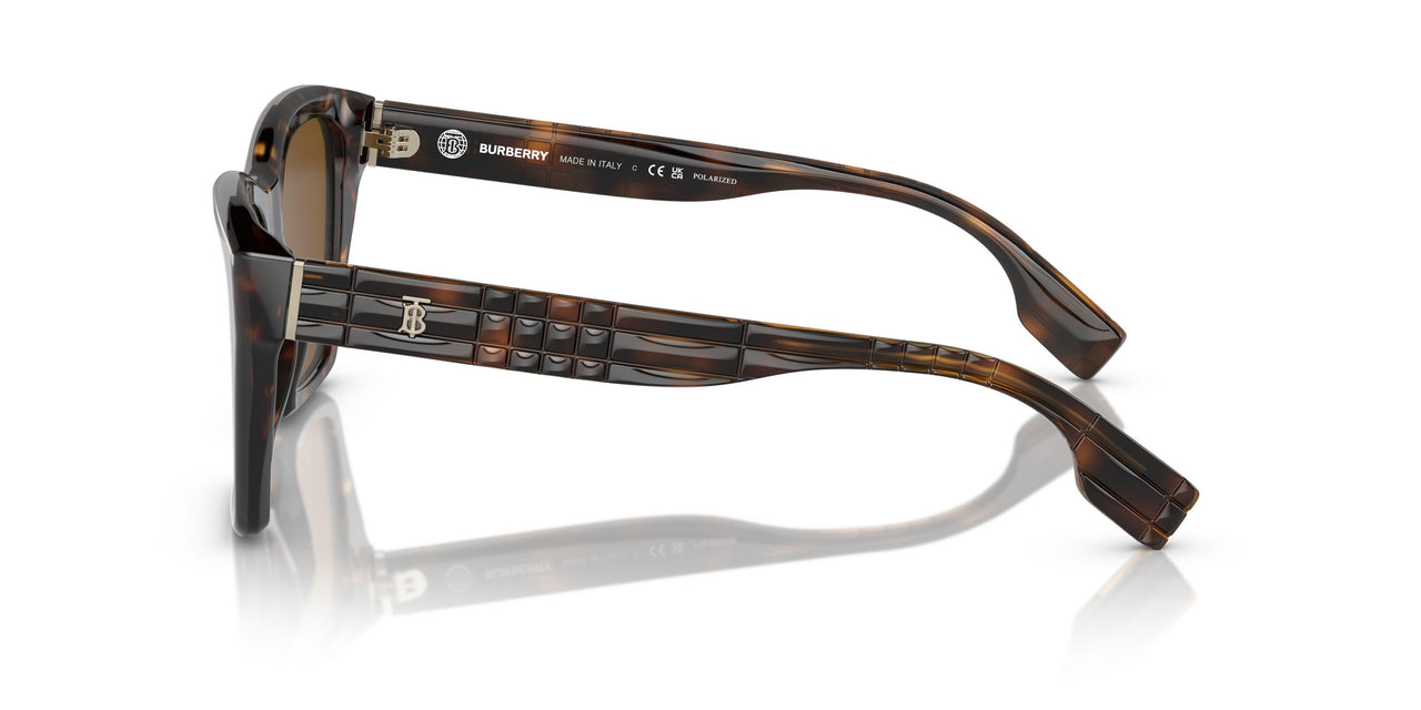 300283 - Brown - Brown Polarized