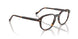 W656 - Brown