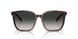 80153C - Tortoise - Grey Gradient