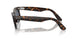 902/R5 - Tortoise - Blue
